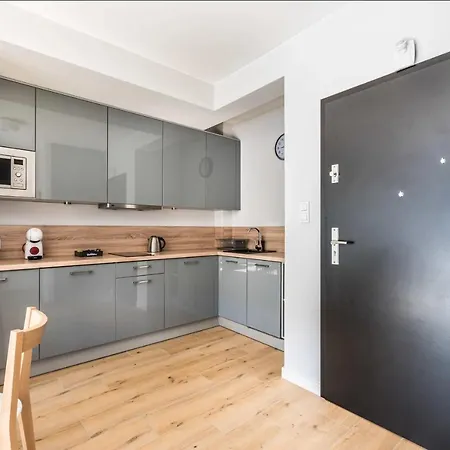 公寓 Kolo-brzegu *